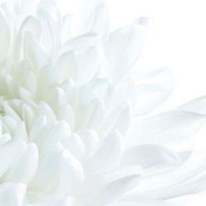 Meet your Posher, Francesca